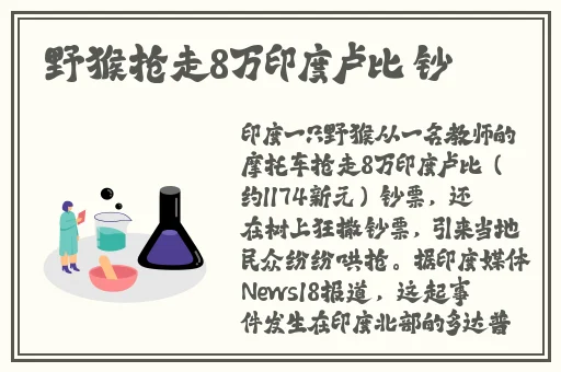 隔壁房间的偏执狂